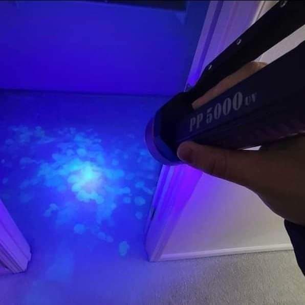 
                  
                    PP5000 URINE DETECTION UV LIGHT KIT
                  
                